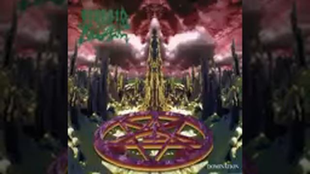 06 - Dawn Of The Angry (MORBID ANGEL)