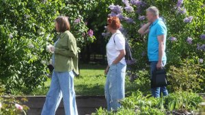 Синоптик рассказала о погоде в мае и июне в Москве