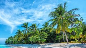 Слушать музыку. Музыка онлайн