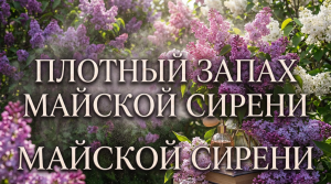 Плотный запах майской сирени / Грустные рассказы / Истории из жизни / Аудиокниги слушать онлайн