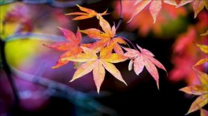 Главная ошибка 20 марта, которая закроет дороги на весь год.