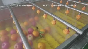 Машина мойки овощей и фруктов VFFX-НР360 (пр-во Китай), (ООО "Владфризинг")