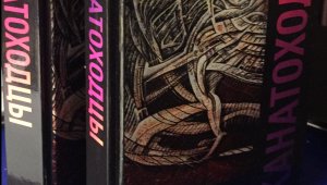 Что искали, то нашли в романе Татьяны Чекасиной Канатоходцы