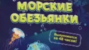 Через сутки вылупились первые науплии