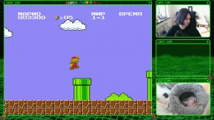 Super Mario Bros. Неудачная попытка...