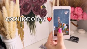 ✨срочное о вас✨❤️🦋🌿 таро расклад онлайн