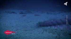 Грани туризма: окрестности Норильска