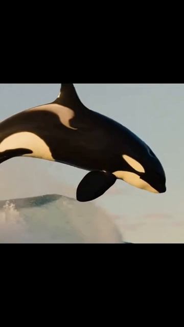 #природа #лес #наукаоприроде #природныечудеса