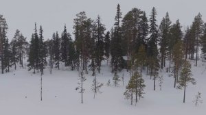 Ижемский район, окресности п. Чаркабож