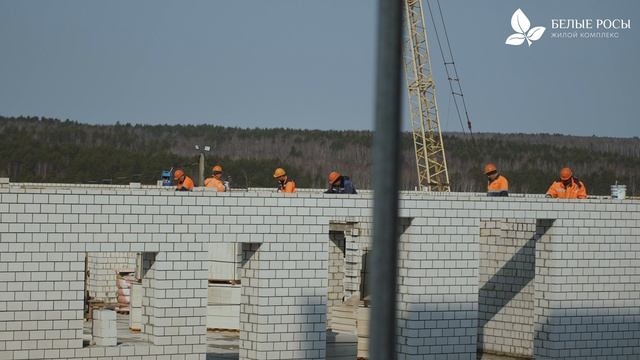 Дневник строительства IV и V очередей ЖК «Белые Росы» за февраль — март 2026 года