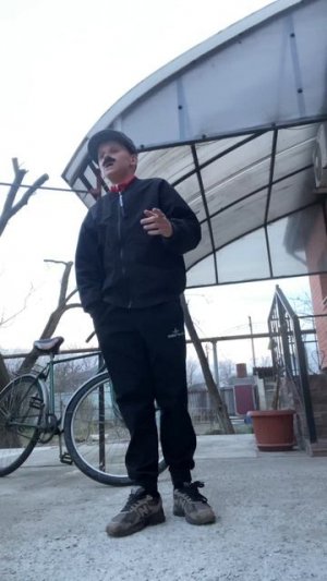 Ты приносишь домой кошку