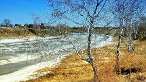 Трансляция богослужения Новоапостольской Церкви, г.Омск, 22.03.2026, 8:00 мск