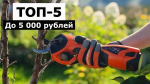 5 Лучших Аккумуляторных Секатора до 5 000 рублей