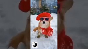 Сколько б не было вам лет, не грустите...