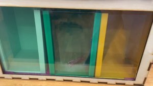 Интерактивный контейнер для сортировки батареек. Макухина Анна Сергеевна