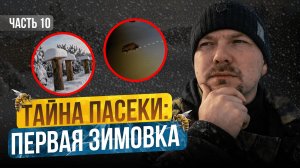 Сбежал с офиса на пасеку! Что из этого вышло? Строю пасеку с нуля | Серия 10