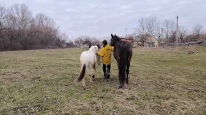 мой друг Лёха