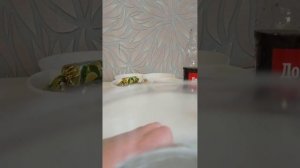 Взорвал колу неудачно...