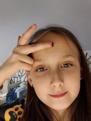 мой питомец