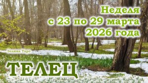 ТЕЛЕЦ | ТАРО прогноз на неделю с 23 по 29 марта 2026 года