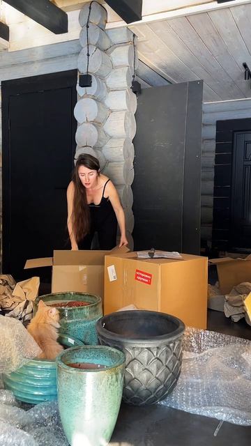 #комнатныерастения #озеленение #фитодизайн