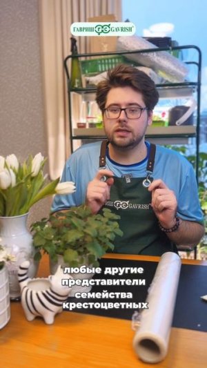 КАКАЯ ТЕМПЕРАТУРА НУЖНА ДЛЯ ПРОРАСТАНИЯ?