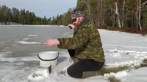 Наловил окуней.  Всё тает на глазах! 
(оторвал блесну)