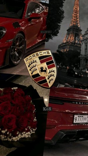 Вопрос-ответ задавайте любые вопросы