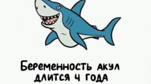 Самые удивительные факты!!! 😲