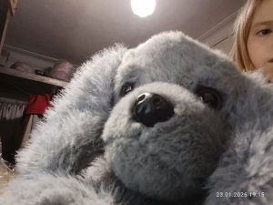 делаю уроки