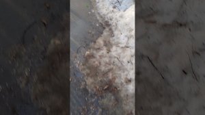 Весна пришла