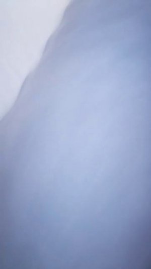 Засканили мамонта