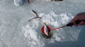 19 Марта Акатово Руза