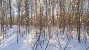 пацан, который выжил ЧАСТЬ 16