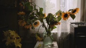 Деревенские пейзажи [get-save.com]