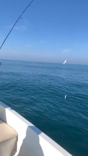 Свет и радость мы приносим людям. У меня лучшая работа в мире.