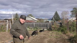 Волко - собака Володи Белемца