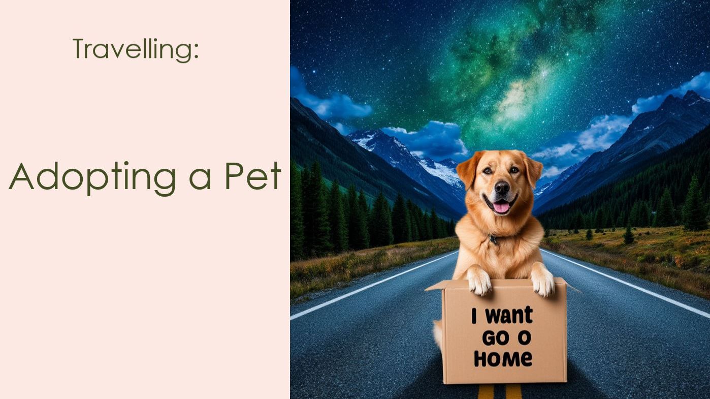 Story # 260 :  Travelling :  Adopting a Pet