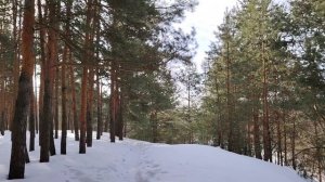 Откуда деньги? Возможен ли настоящий крупный финансовый успех для простого человека?