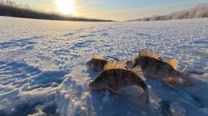 НА РЕДКОСТЬ ТИХАЯ МОРОЗНАЯ СТЕПЬ!Рыбалка на окуня зимой!