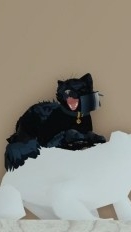 Мои любимые вкуеры/Не все!