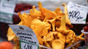 Продавец грибов назвал причины роста цен на грибы в России