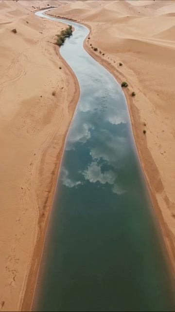 Красота оазиса: река среди песков #пейзаж #природа #оазис