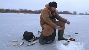 РЫБАЛКА на БЕЗМОТЫЛКУ в МАРТе