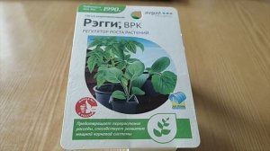 Этим регулятором, сдерживающим перерастание рассады, пользуюсь постоянно