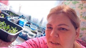 Выгнала их на улицу .