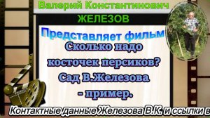 Сколько надо косточек персиков? Сад В.Железова - пример.