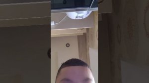 сам петух гамбурский