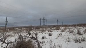 ОХОТА НА ЗАЙЦА В САРАТОВСКОЙ ОБЛАСТИ