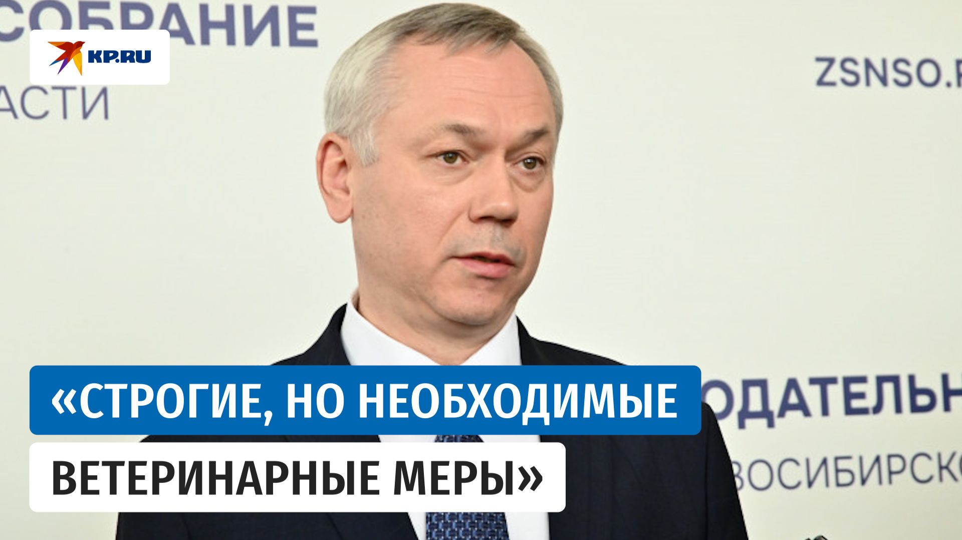 Забой скота в Новосибирской области: губернатор Травников рассказал о компенсациях